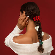 Load image into Gallery viewer, Mini Claw Clips 6pc Set - Holiday
