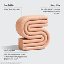 Load image into Gallery viewer, Rice Water Shampoo &amp; Conditioner Bar Combo for Hair Growth
